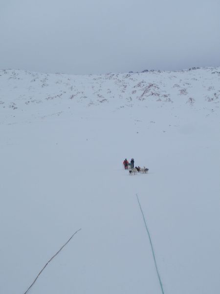 Hele familien i Tasiilaq