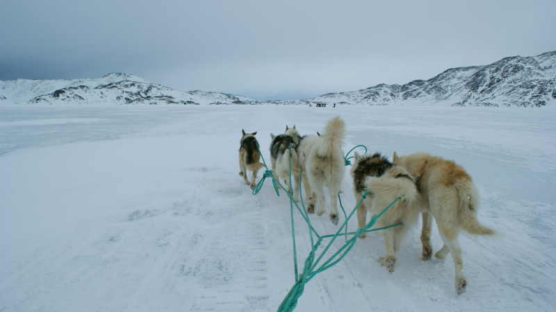 2009-04-08-1413_Tasiilaq