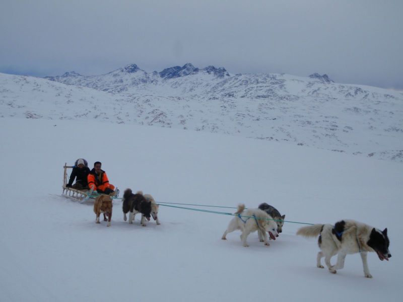 Hele familien i Tasiilaq