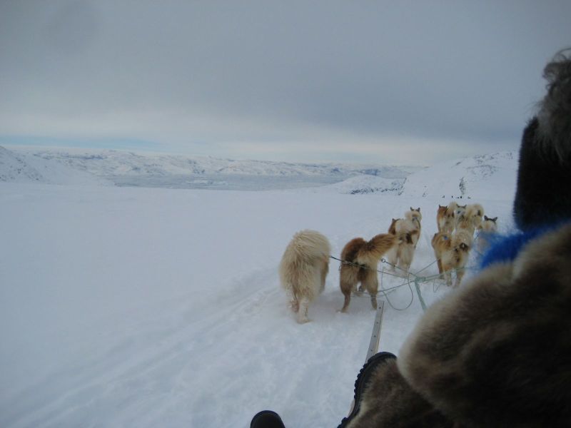 Hele familien i Tasiilaq