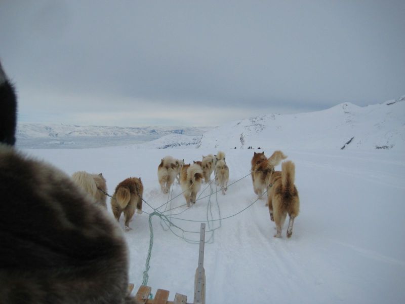 Hele familien i Tasiilaq