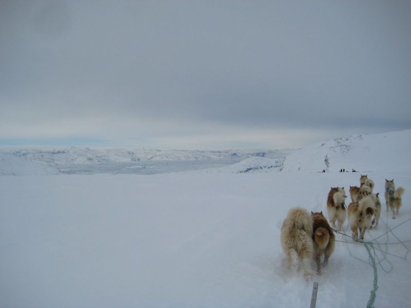 Hele familien i Tasiilaq