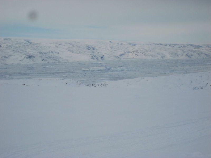 Tiniteqilaaq fra isbræen