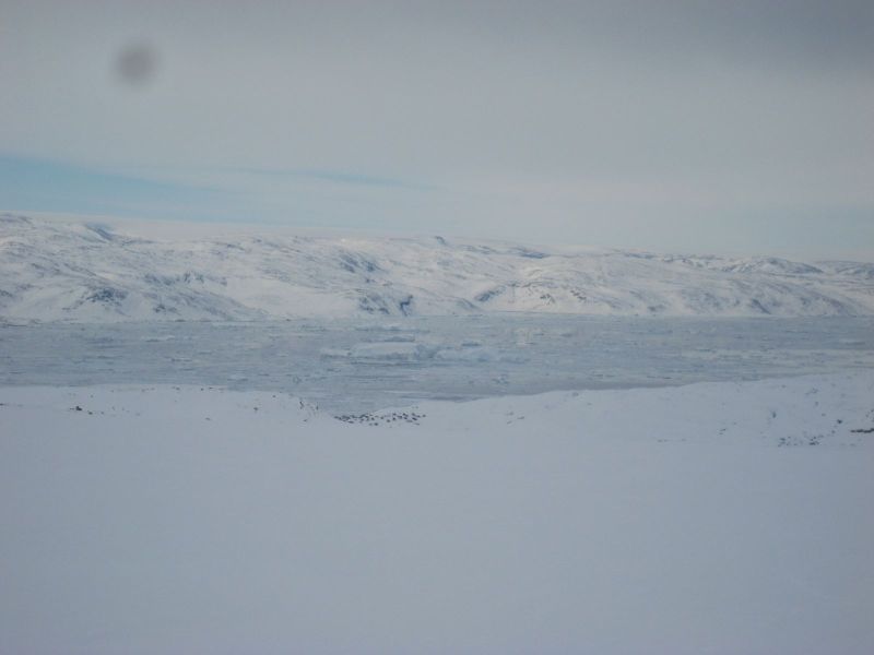 Tiniteqilaaq fra isbræen