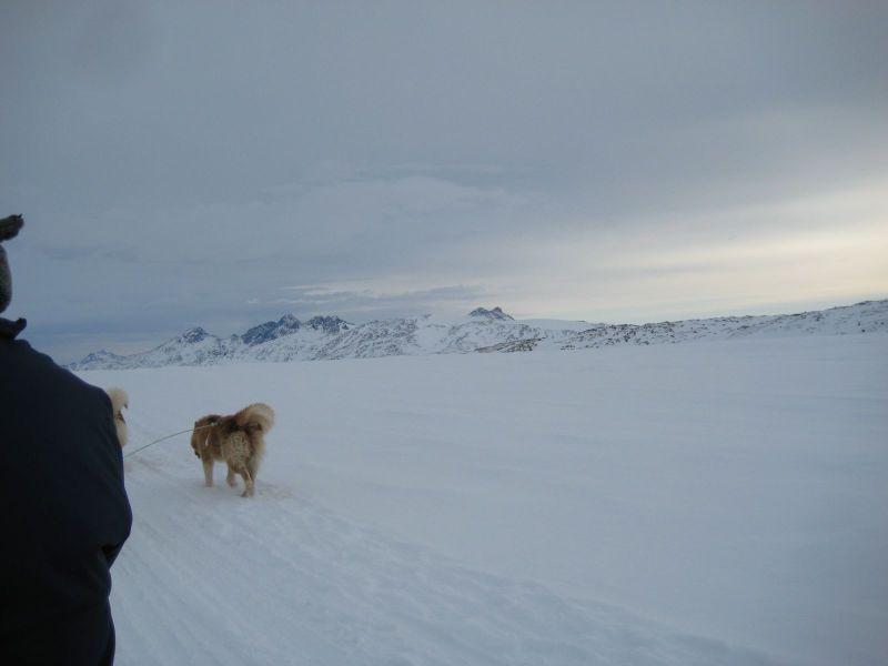 Hele familien i Tasiilaq