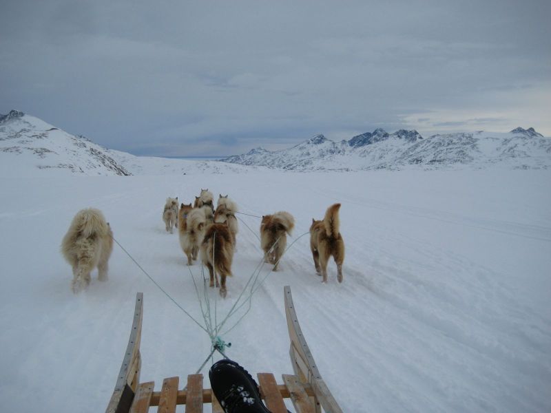 Hele familien i Tasiilaq