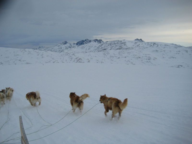 Hele familien i Tasiilaq