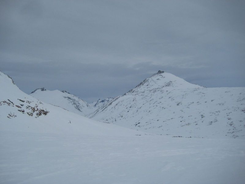 Hele familien i Tasiilaq