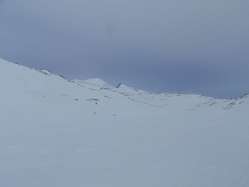 Hele familien i Tasiilaq