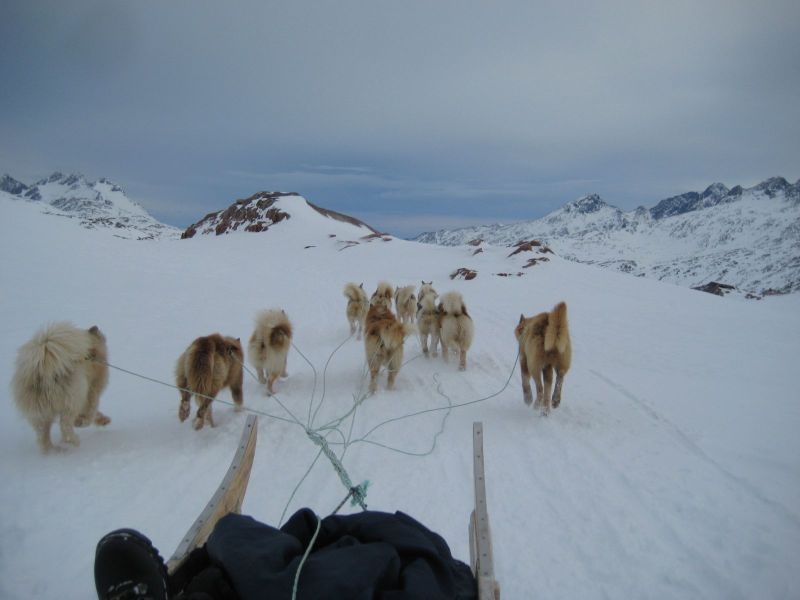 Hele familien i Tasiilaq