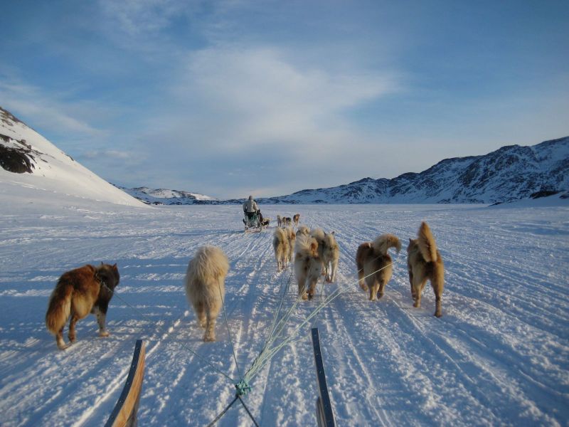 Hele familien i Tasiilaq