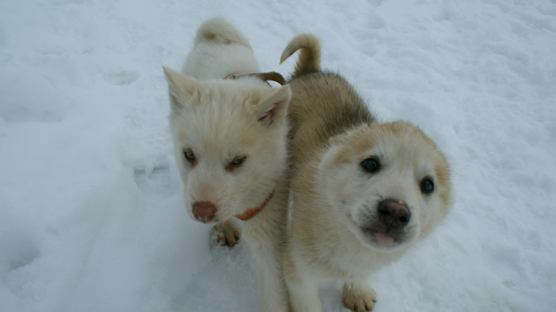 2009-04-09-1429_Tasiilaq_2