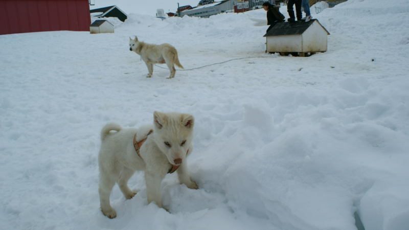 2009-04-09-1429_Tasiilaq_5