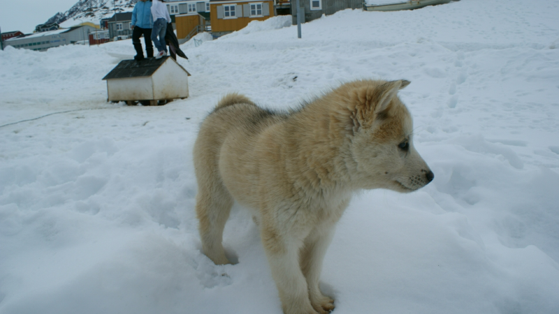 2009-04-09-1429_Tasiilaq_6