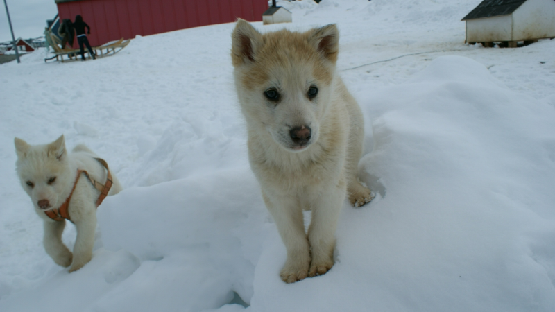 2009-04-09-1429_Tasiilaq_7