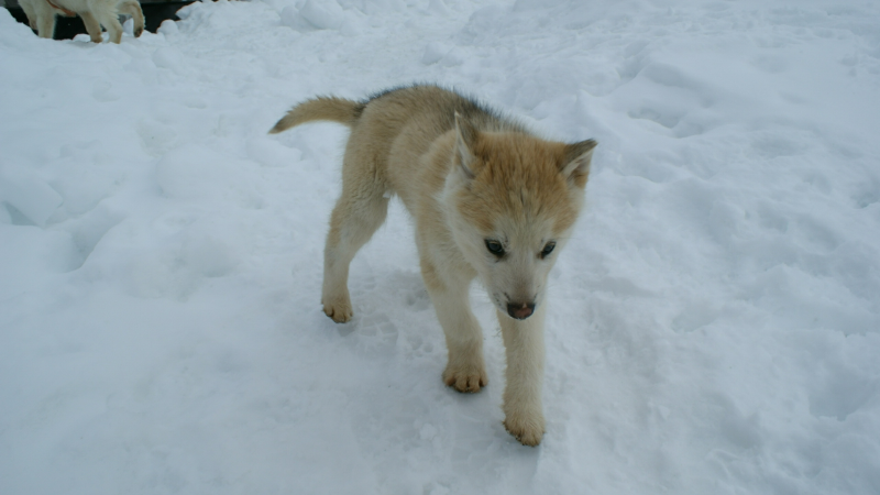 2009-04-09-1429_Tasiilaq_9