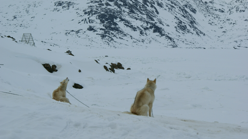 2009-04-09-1431_Tasiilaq