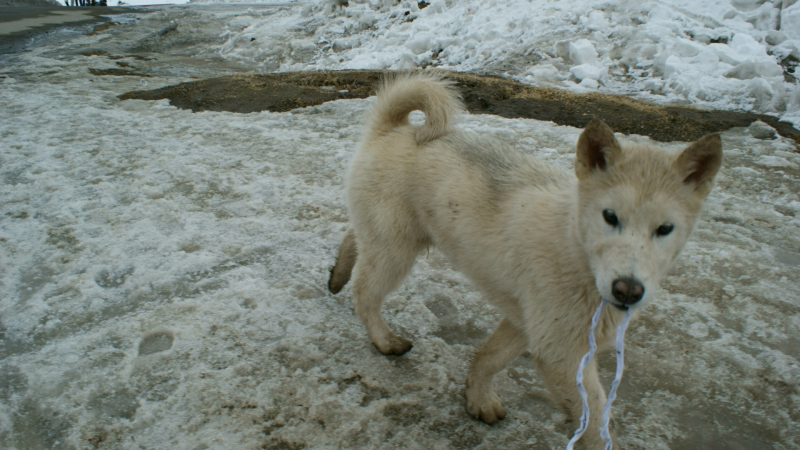 2009-04-09-1450_Tasiilaq_2