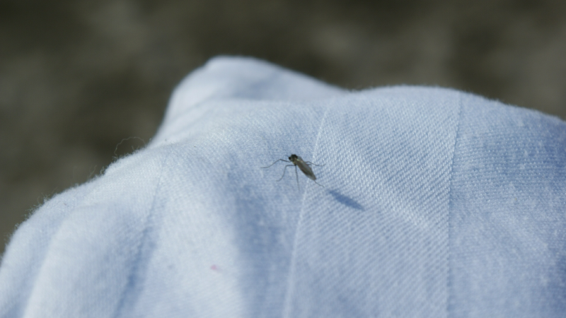 2009-04-11-1138_Tasiilaq_2