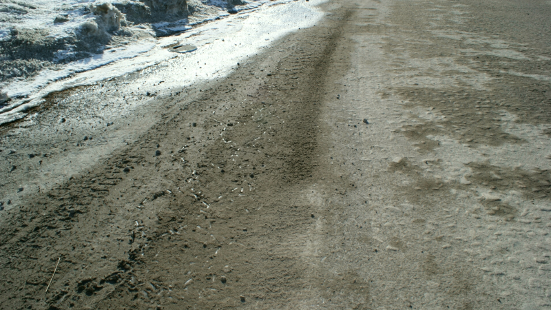 2009-04-11-1143_Tasiilaq