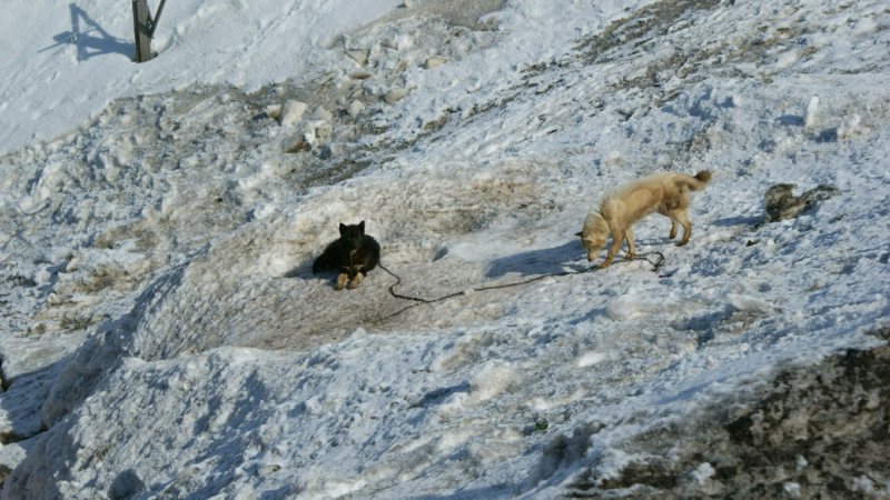 2009-04-11-1158_Tasiilaq_2