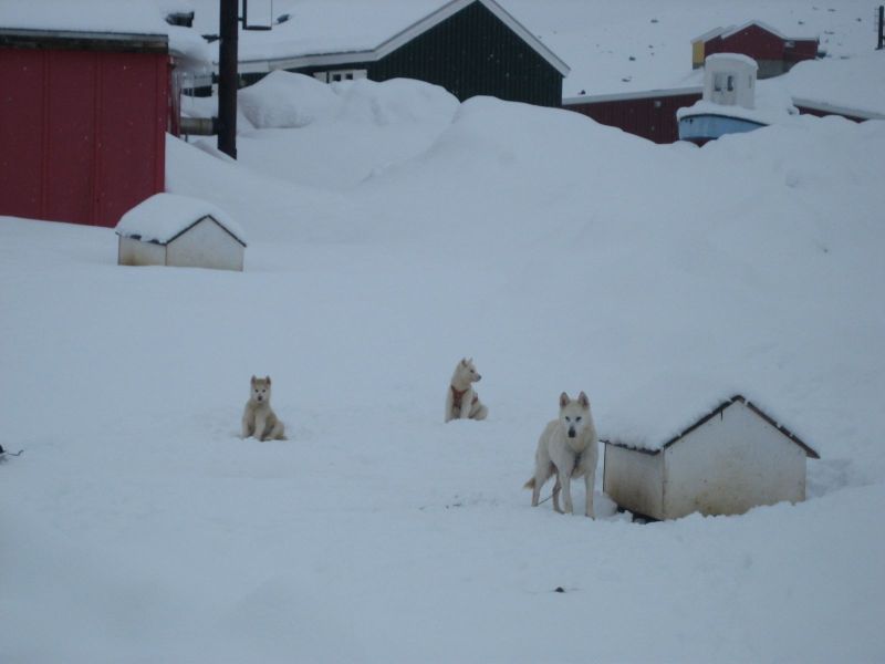 Hele familien i Tasiilaq