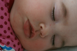 2009-04-20-1345_Tasiilaq