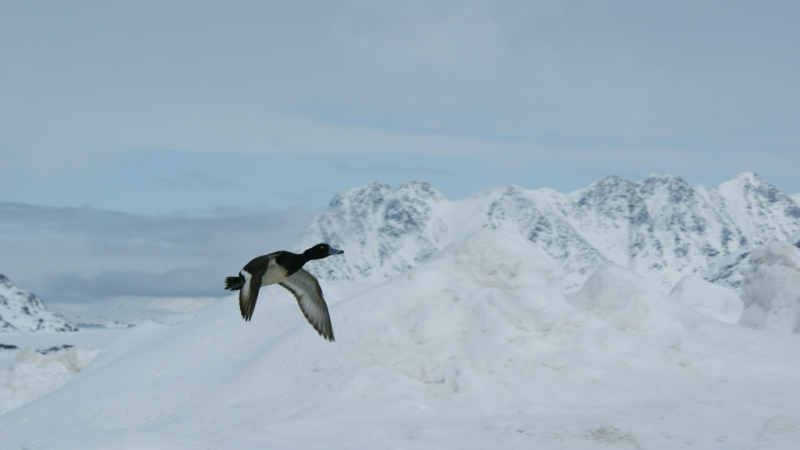 2009-04-22-1006_Tasiilaq_4