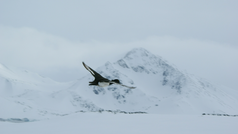2009-04-22-1006_Tasiilaq_5