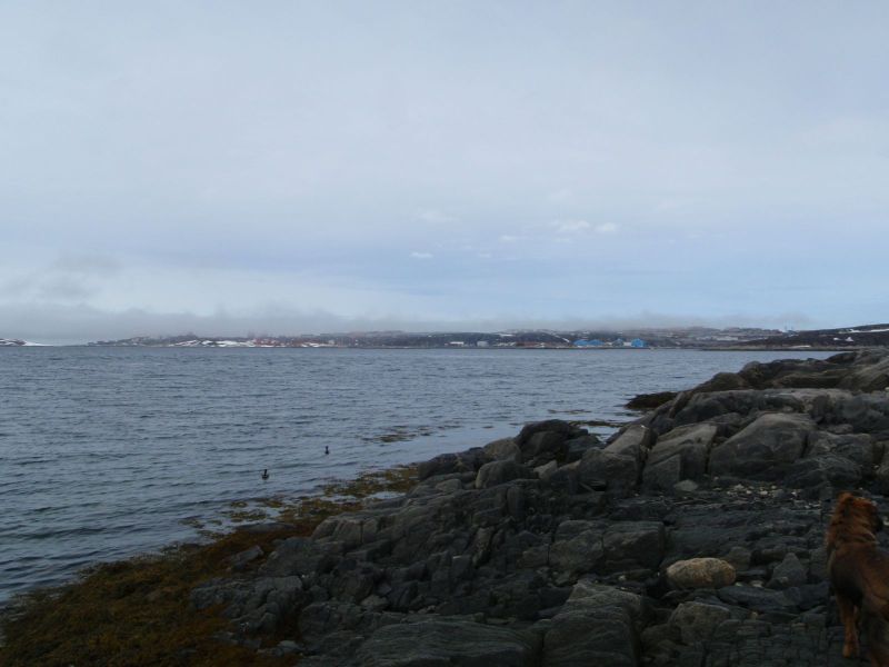 Udsigt - Qinngorput og Nuuk
