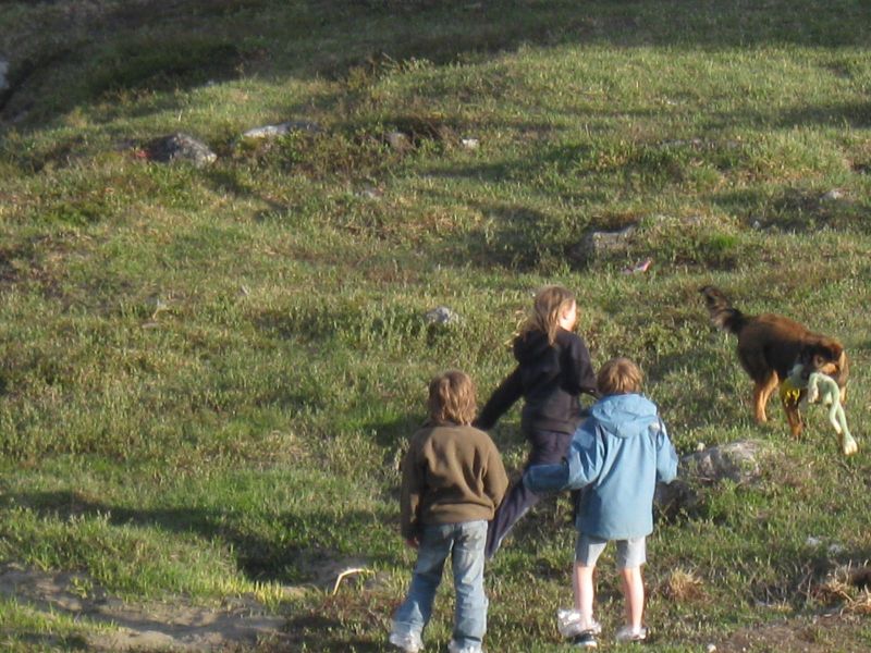 Djanco - ude og inde