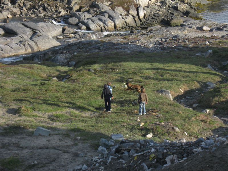 Djanco - ude og inde