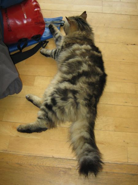 2009-06-15-1744_Kat; Muku