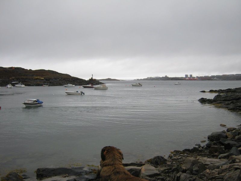 2009-06-18-1423_-_3