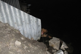 Djanco - ude og inde