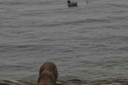 Djanco - ude og inde