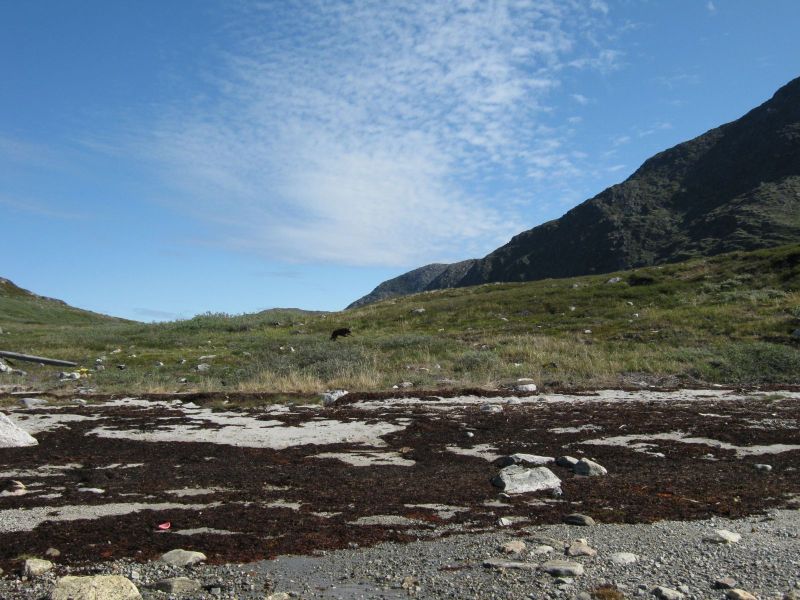 2009-07-11-1051_Sejltur