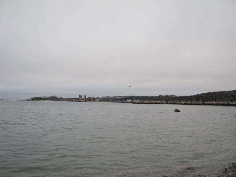 2009-07-03-2223_-_2