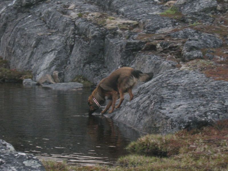 Djanco - ude og inde