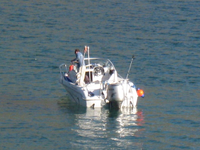 Imzadi