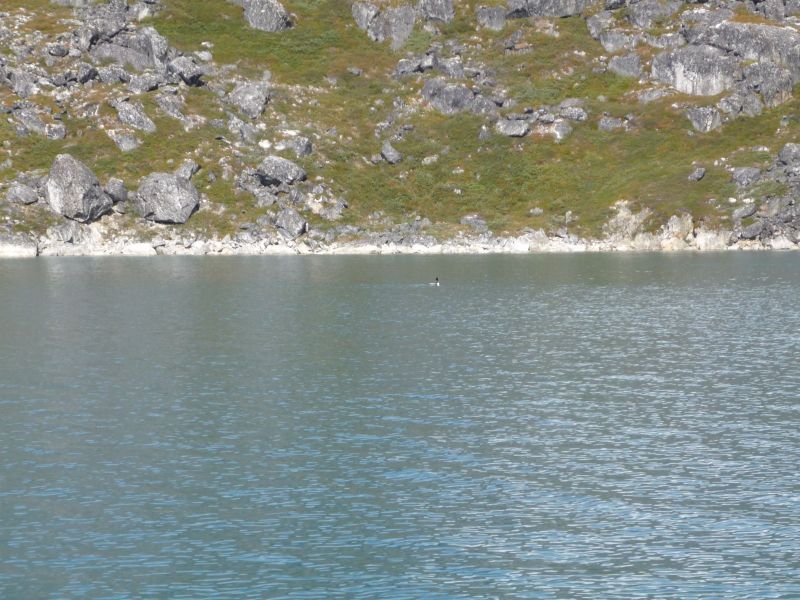 2009-08-12-1346_Sejltur