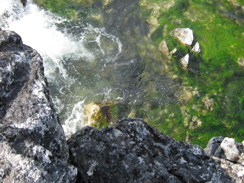 2009-08-12-1511_Ørred_2