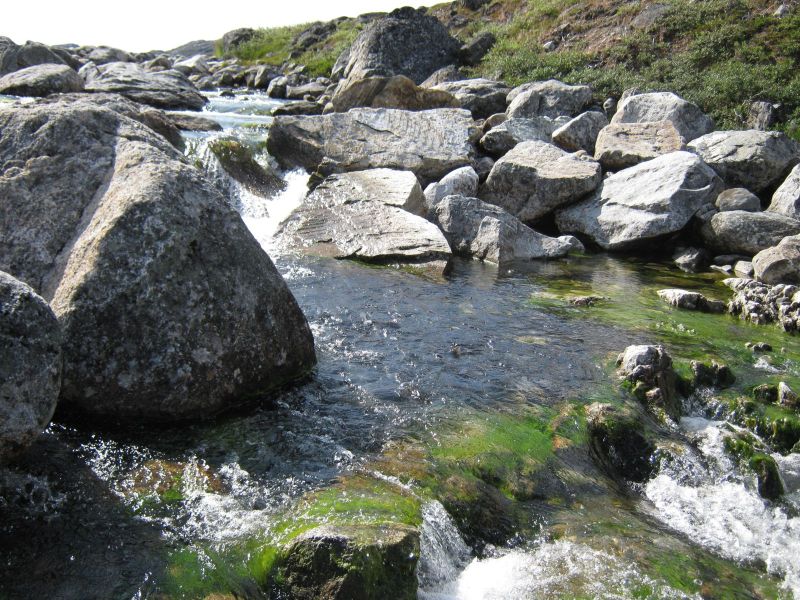 2009-08-12-1511_Ørred_3