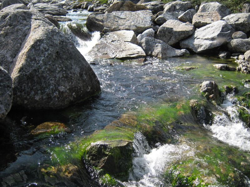 2009-08-12-1511_Ørred_5