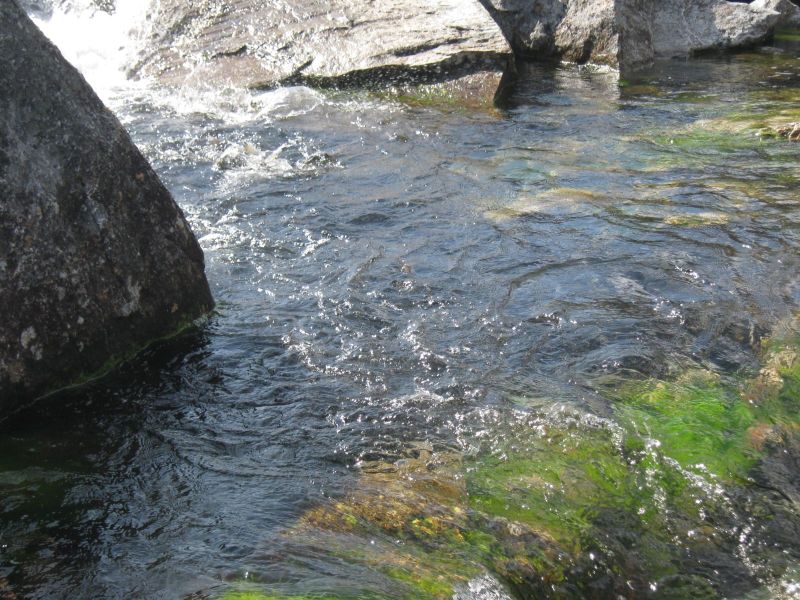 2009-08-12-1512_Ørred_2