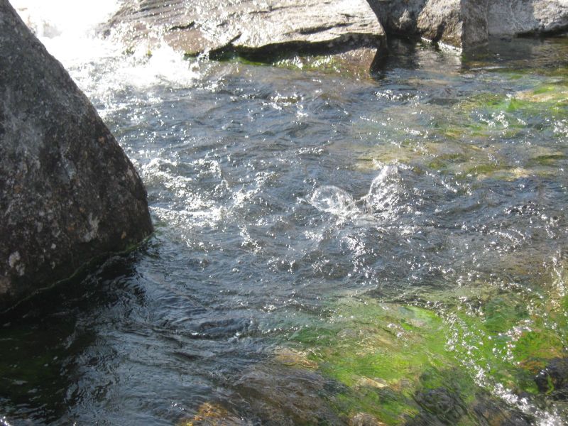 2009-08-12-1512_Ørred_3