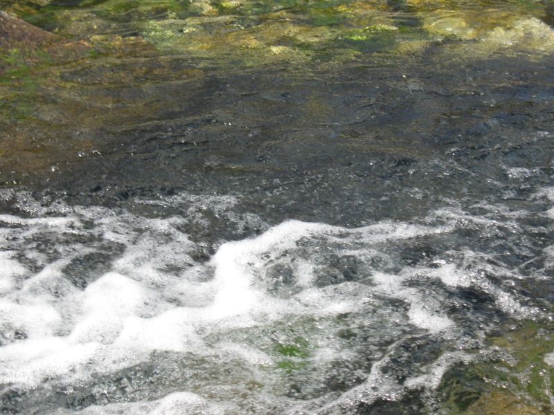 2009-08-12-1519_Ørred_2