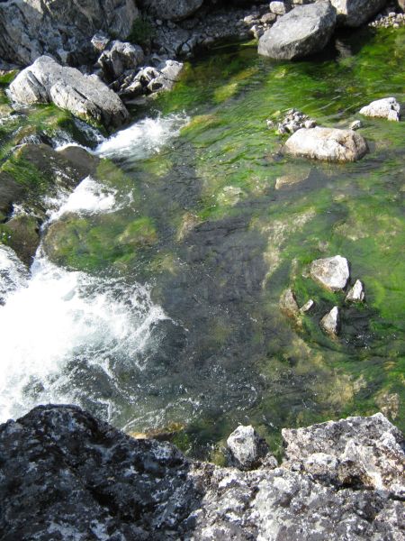 2009-08-12-1523_Ørred