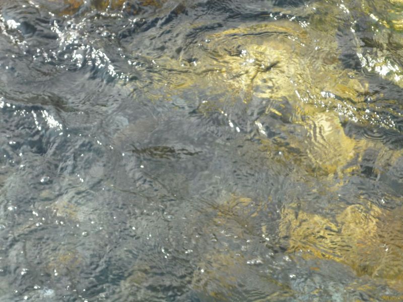2009-08-12-1532_-_2