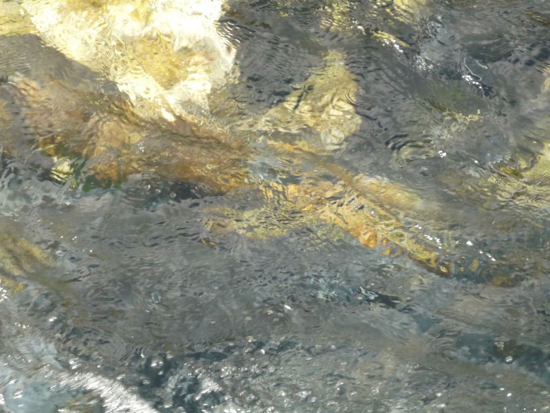 2009-08-12-1532_-_4